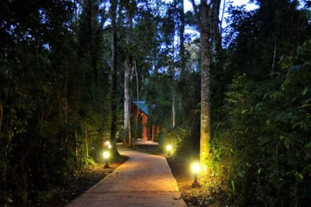 Outdoors view