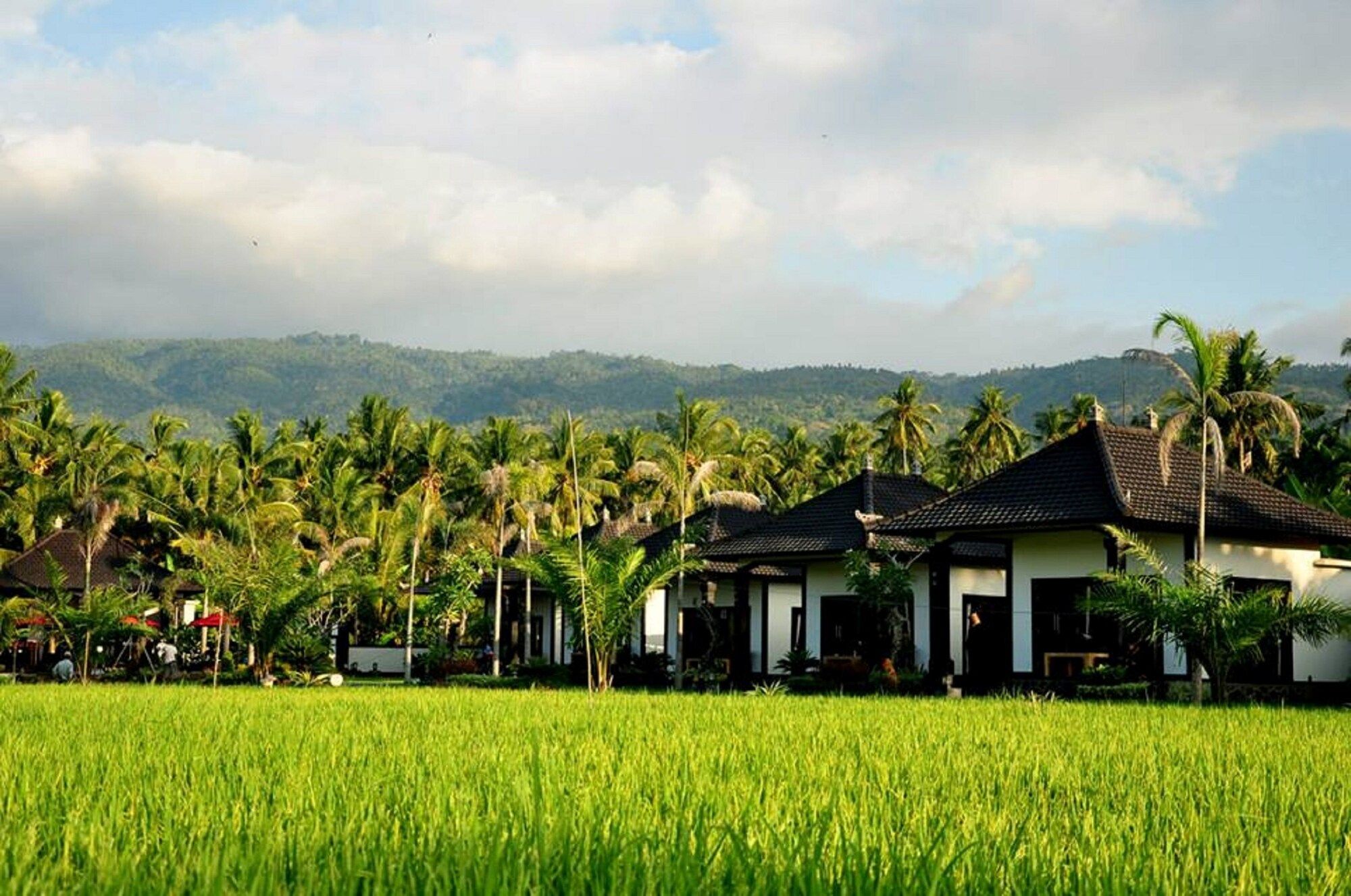 Outdoors view