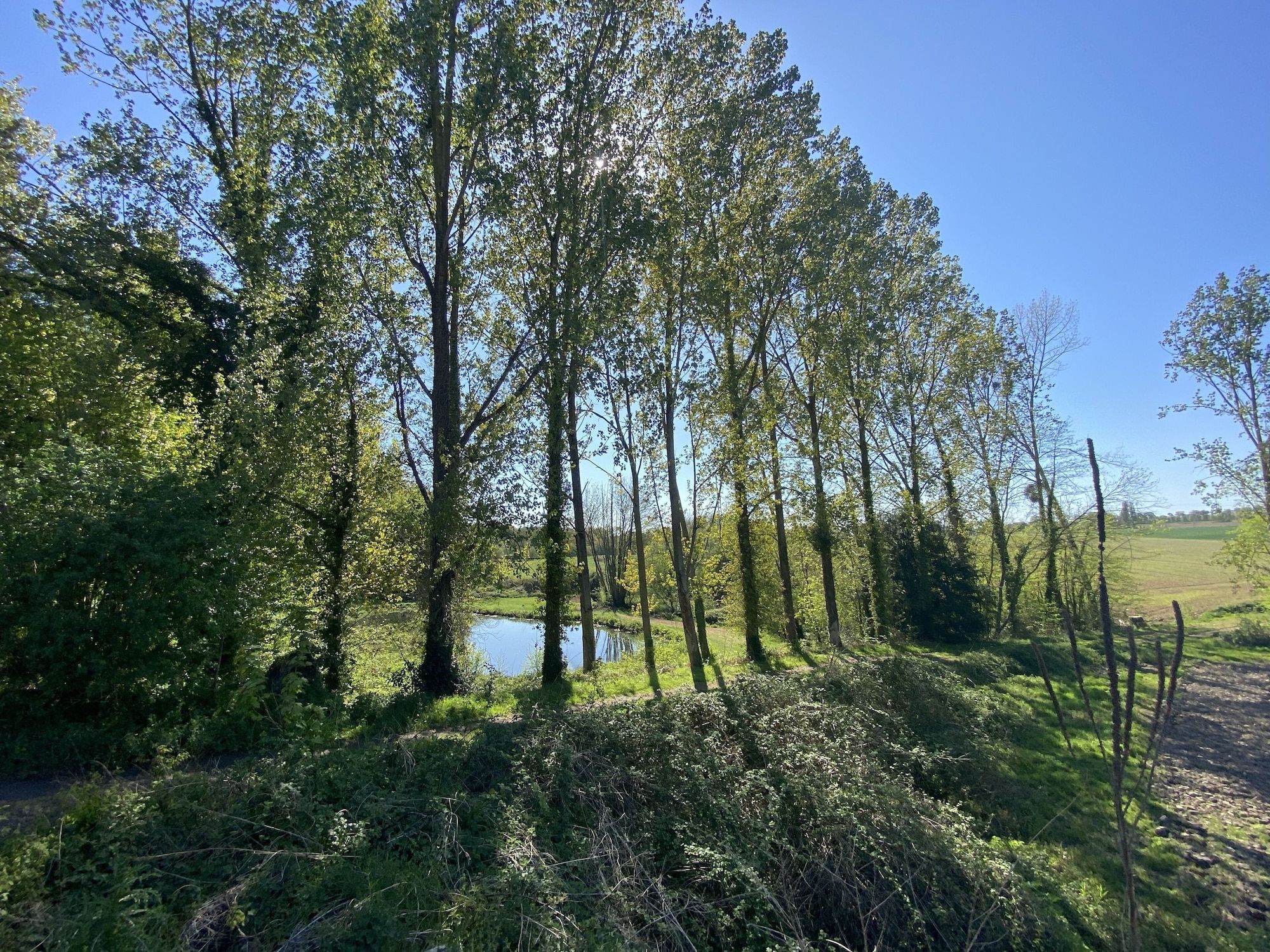 Outdoors view