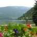 Outdoors view