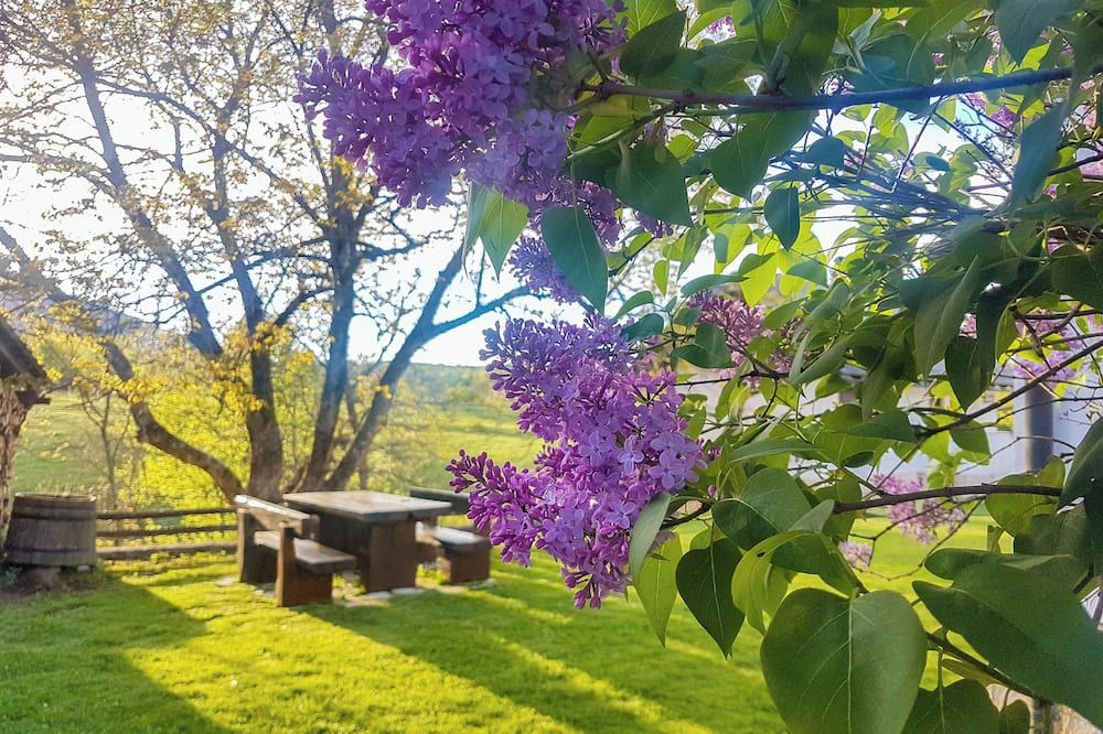 Outdoors view