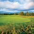 Golf course