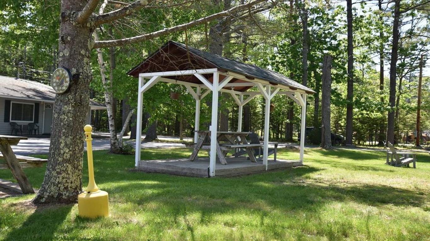 Acadia Pines Motel