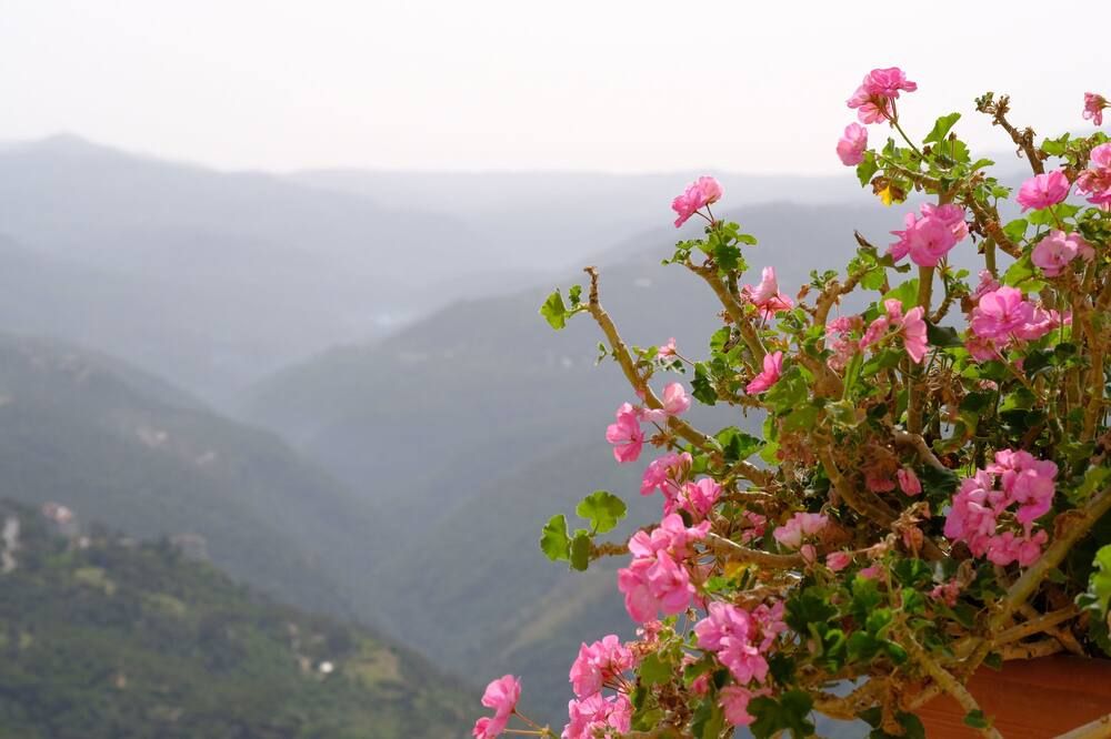 Outdoors view