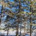 Outdoors view