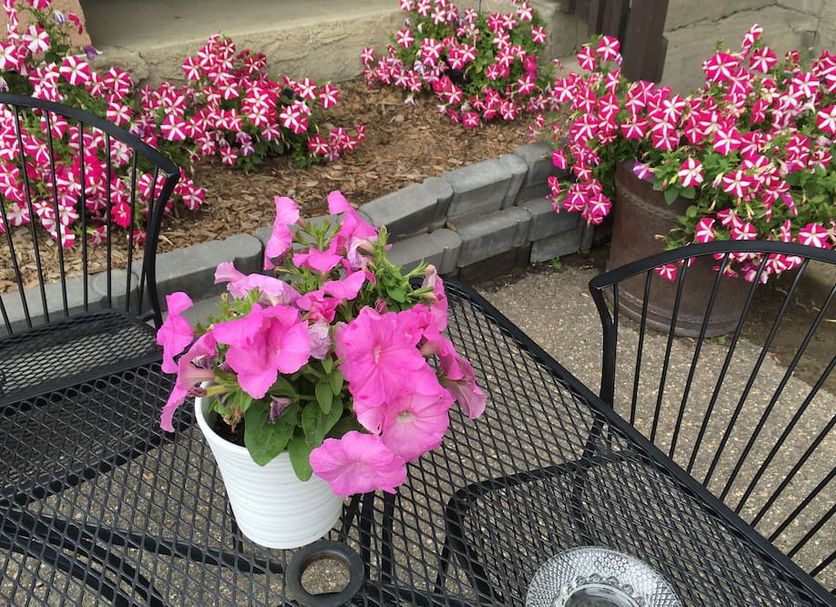 Patio Photo