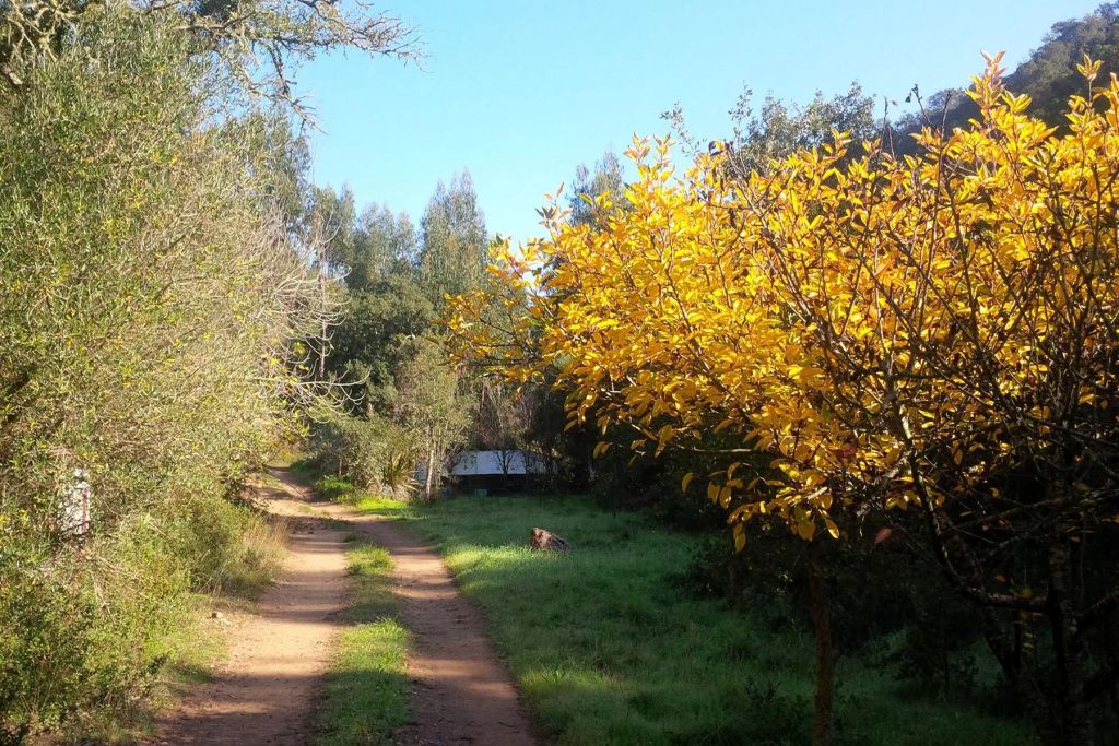 Outdoors view