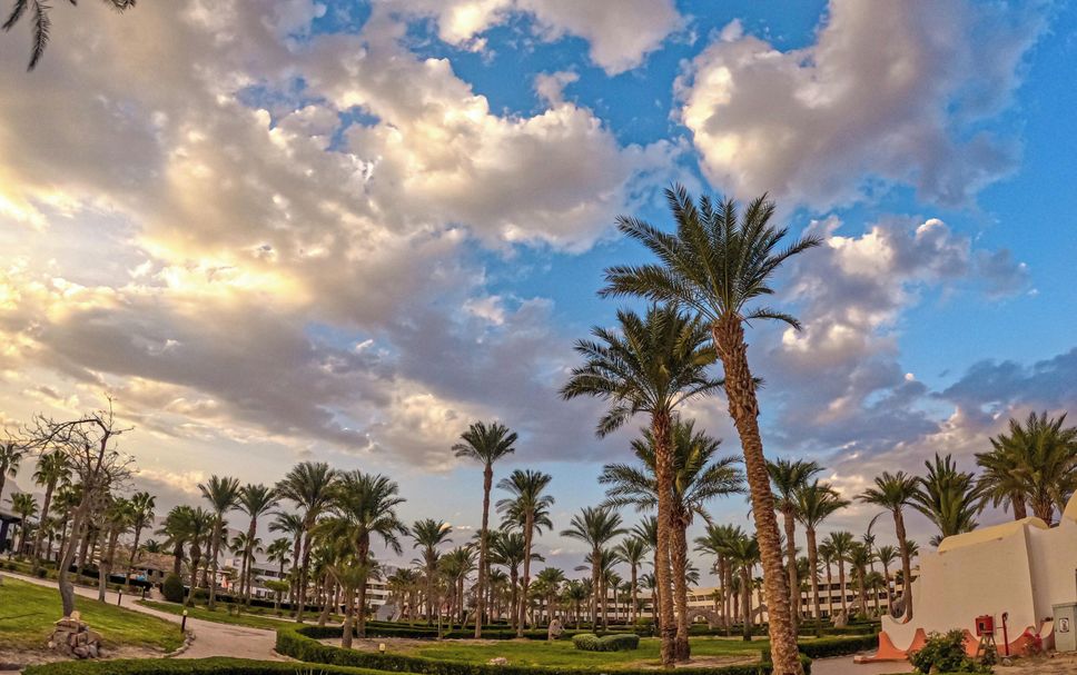 Outdoors view Photo