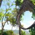 Outdoors view
