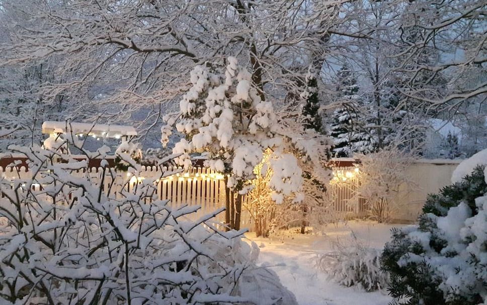 Outdoors view Photo