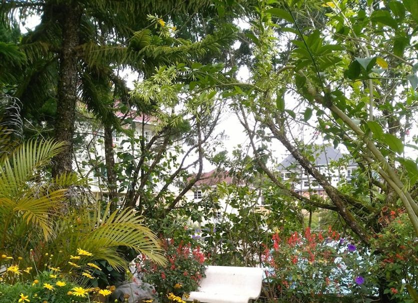 Outdoors view Photo