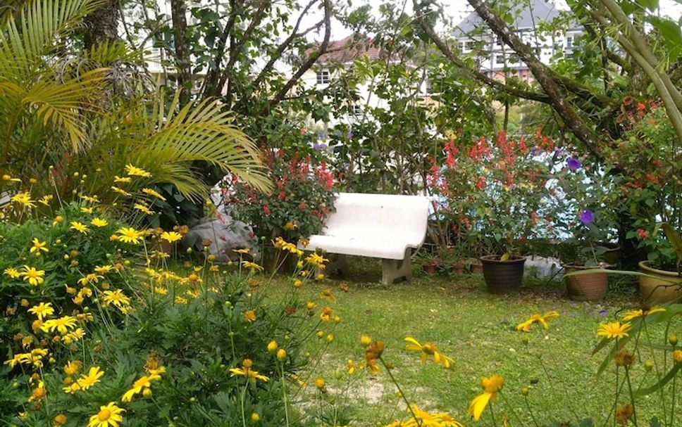 Outdoors view Photo