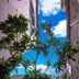 Outdoors view