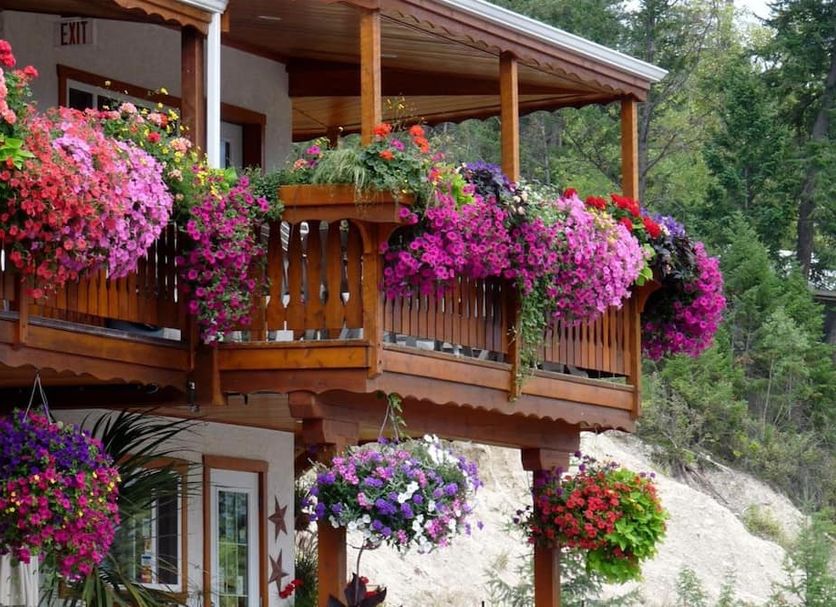 Outdoors view Photo