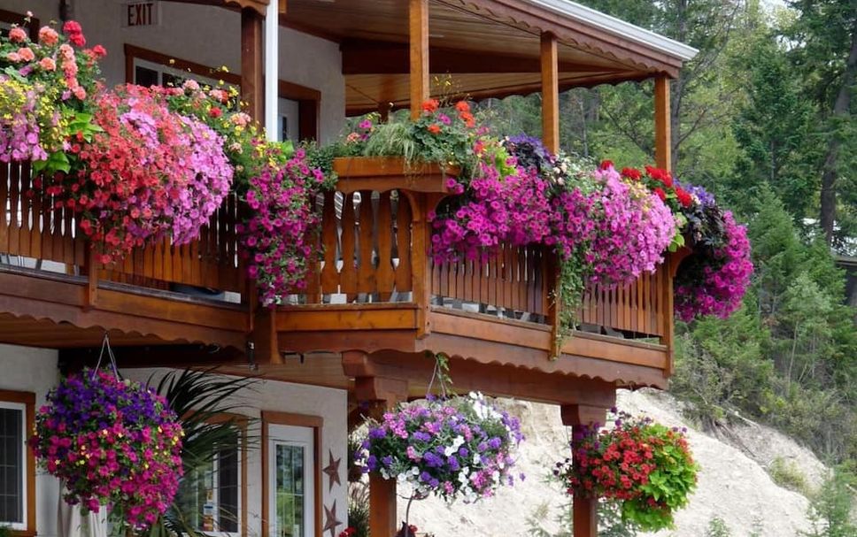 Outdoors view Photo