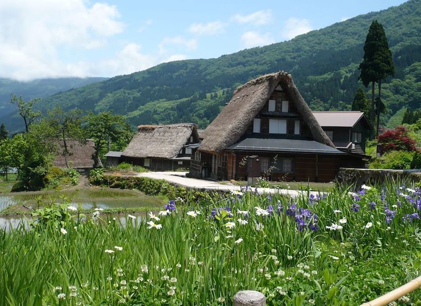 Outdoors view Photo