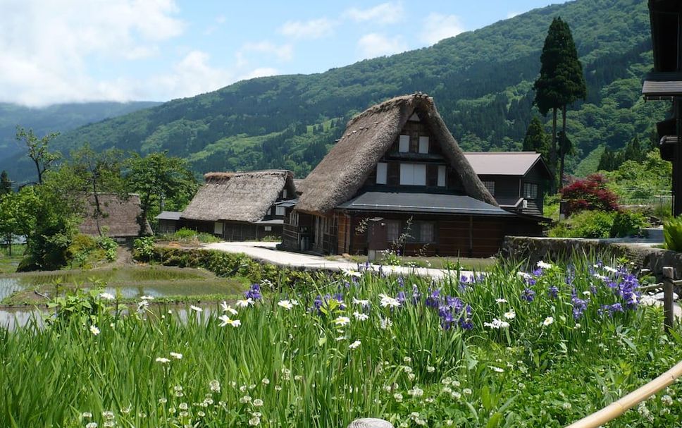 Outdoors view Photo