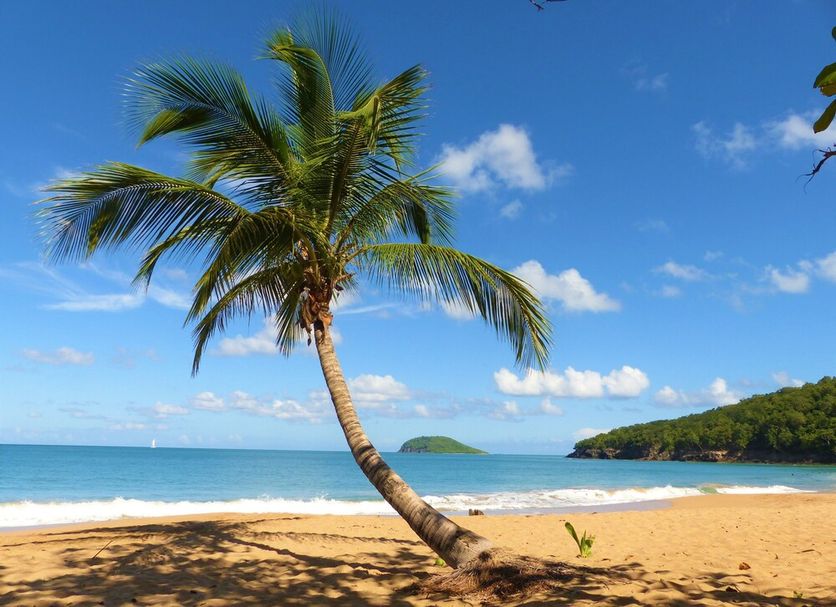 Beach Photo