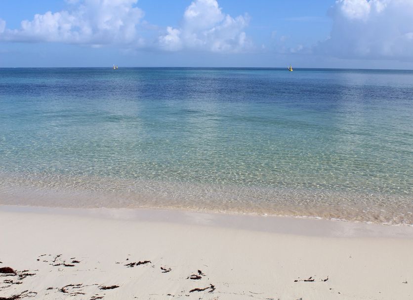 Beach Photo