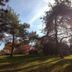 Outdoors view