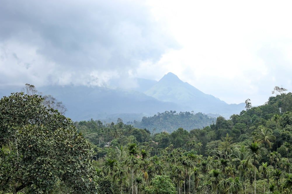 Outdoors view