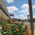 Outdoors view
