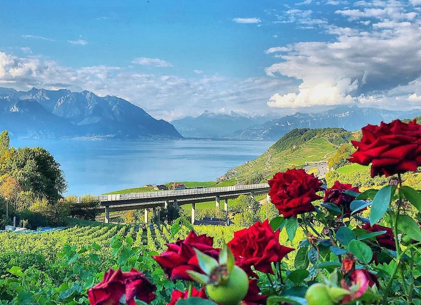 Outdoors view Photo