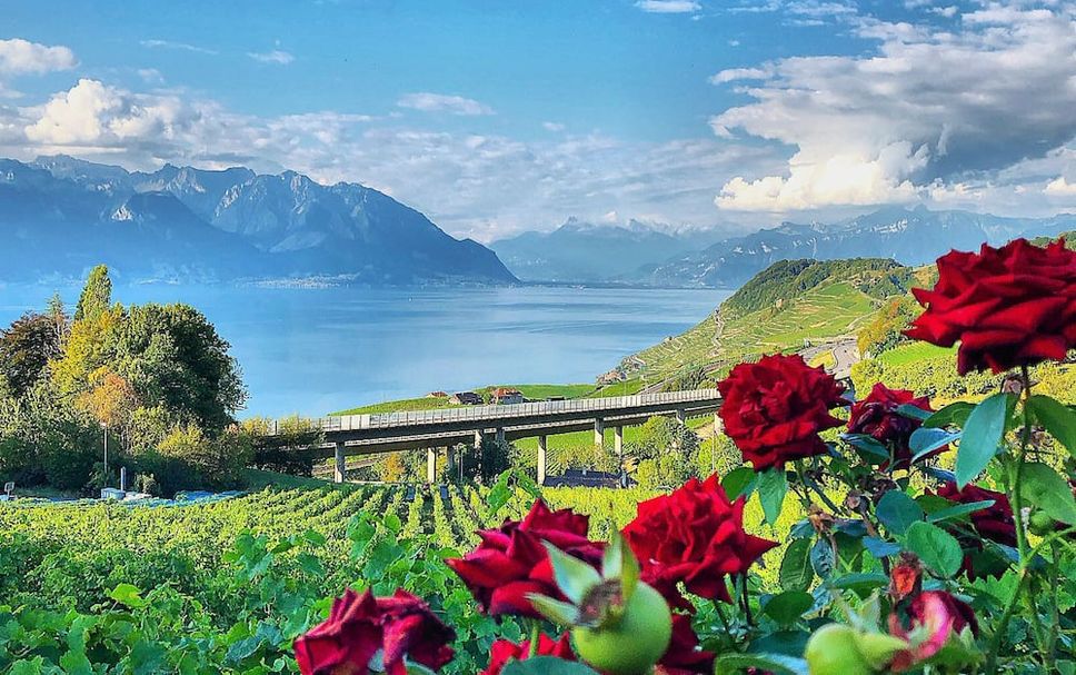 Outdoors view Photo