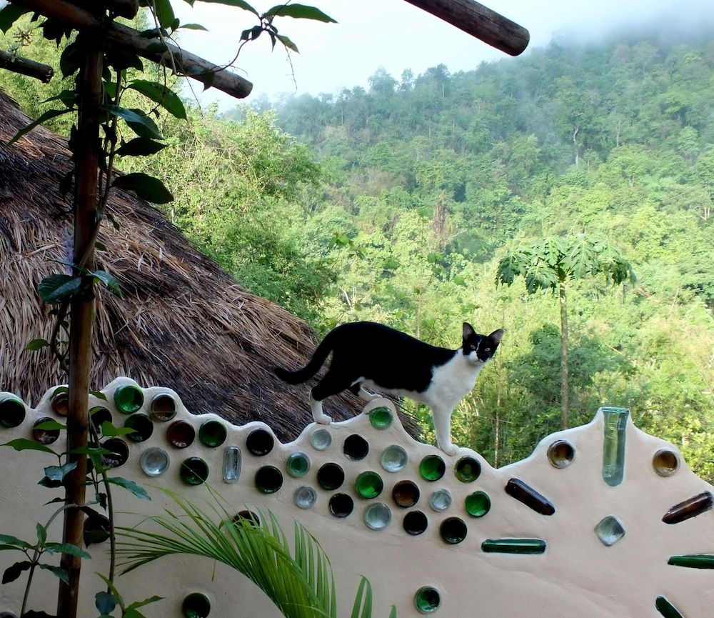 Outdoors view