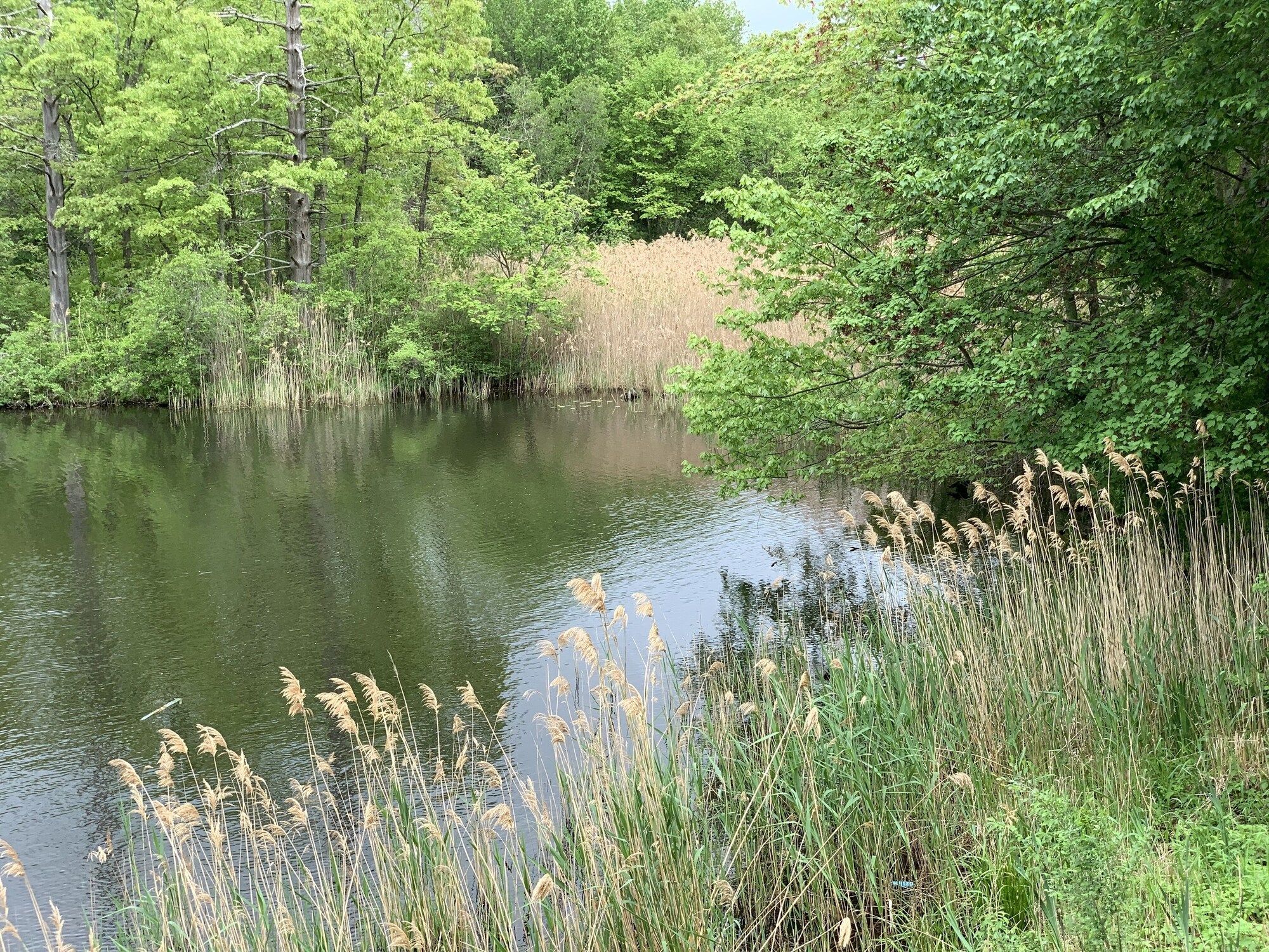 Outdoors view