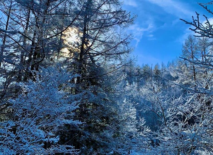 Outdoors view Photo