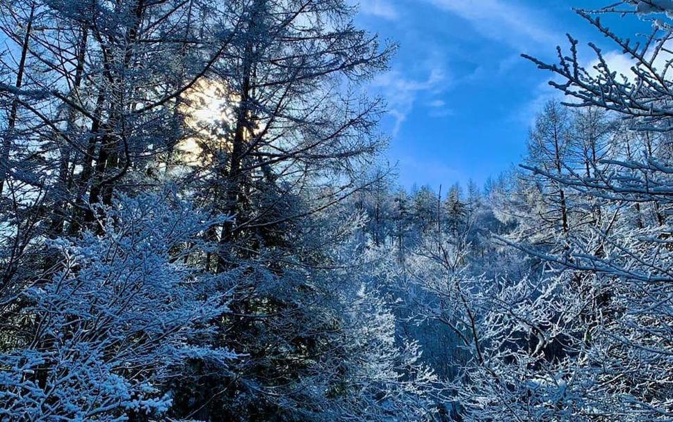 Outdoors view Photo
