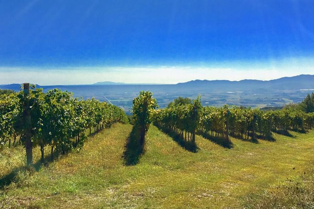 Outdoors view