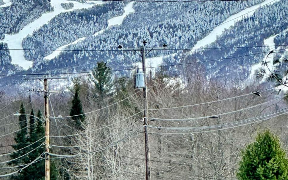 Other Photo