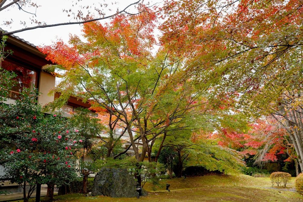 Outdoors view