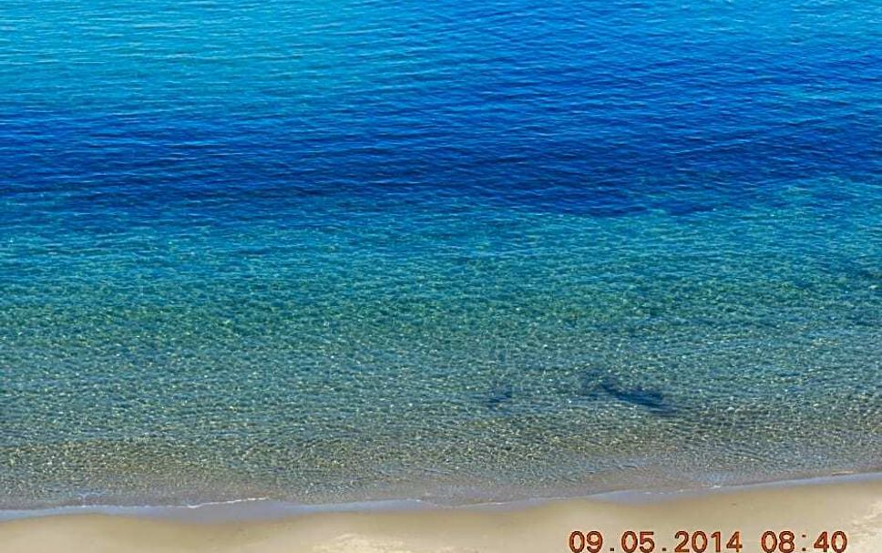 Beach Photo