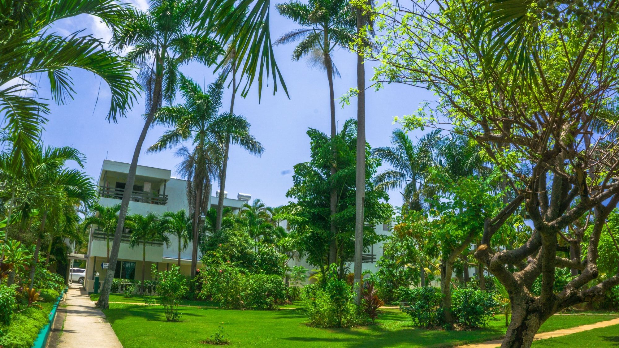 Outdoors view