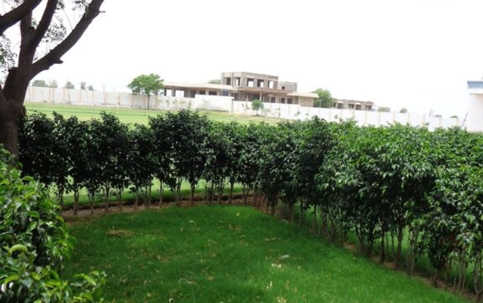 Outdoors view Photo