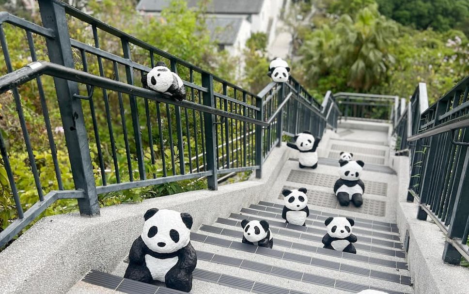 Stairs Photo