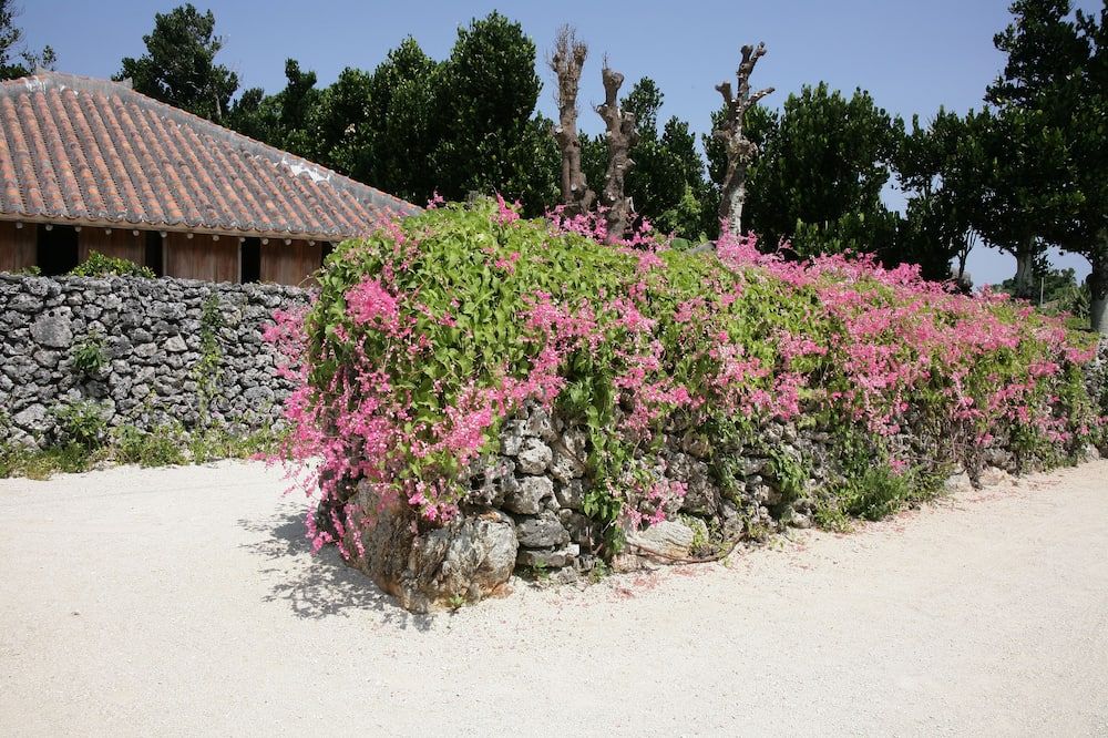 Outdoors view