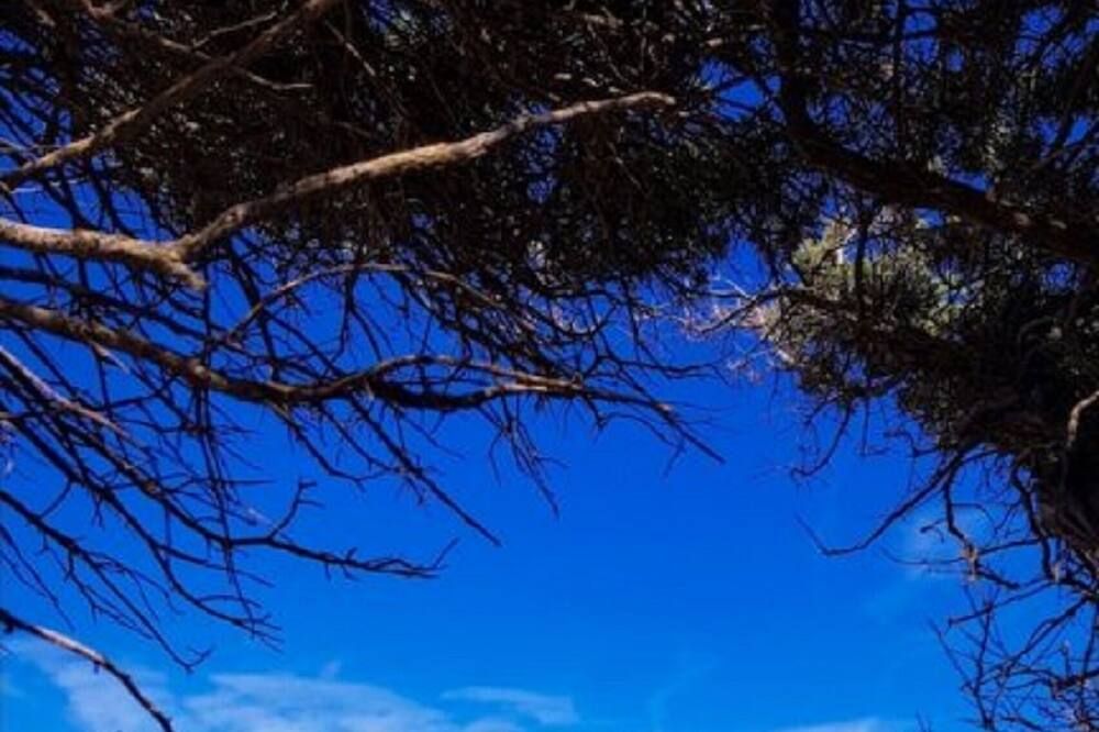 Outdoors view