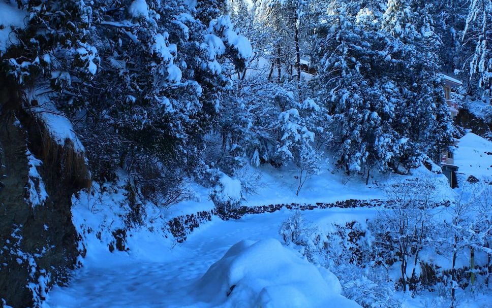Outdoors view Photo