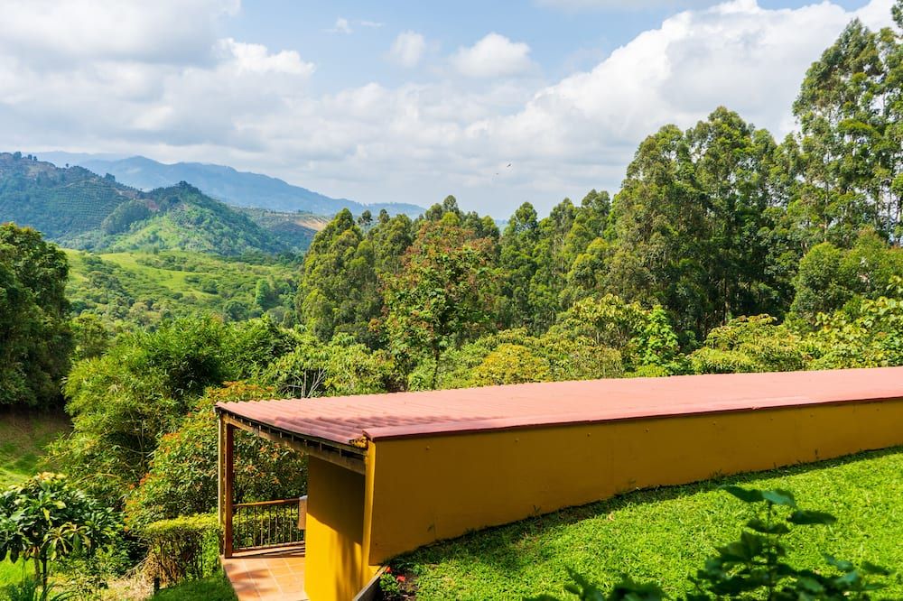 Outdoors view