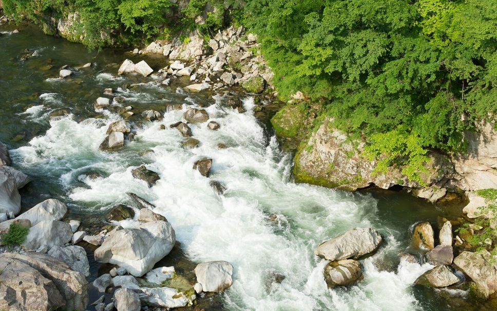 Other Photo