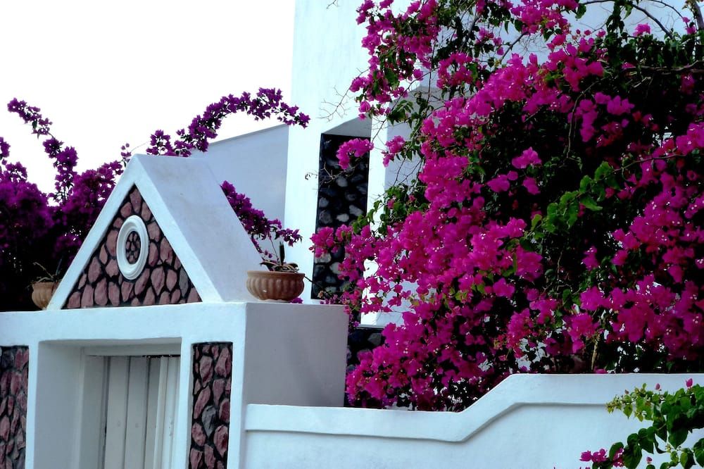 Outdoors view