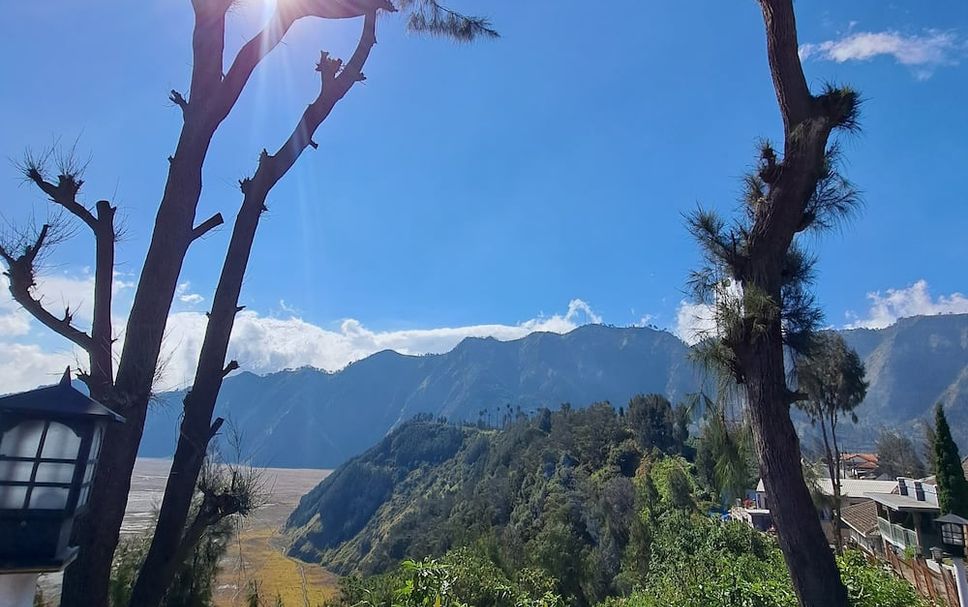 Outdoors view Photo