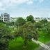 Outdoors view