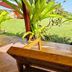 Outdoors view