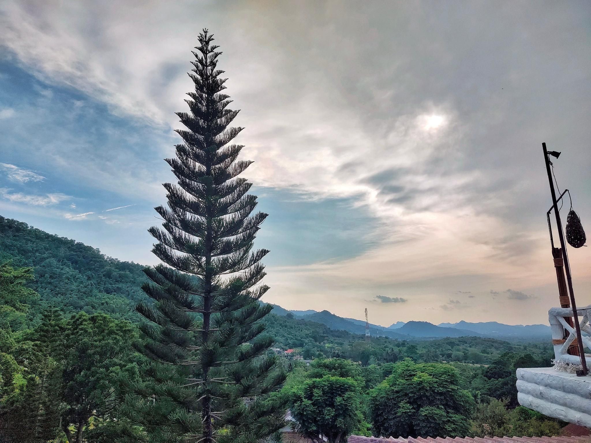 Outdoors view