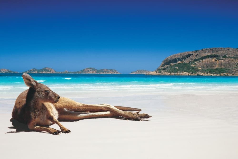 Beach Photo
